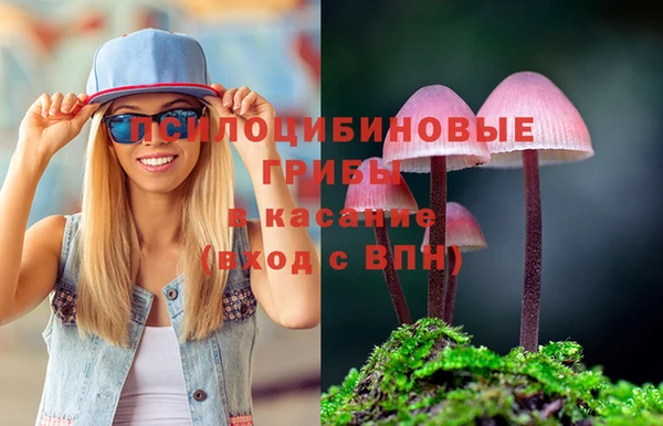 а пвп мука Лихославль