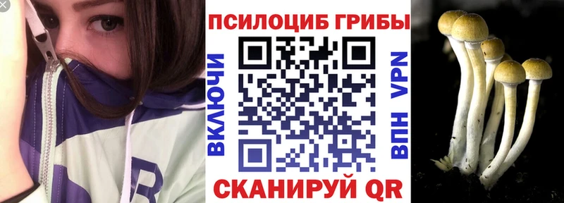 Купить где  Алупка  Галлюциногенные грибы прущие грибы 