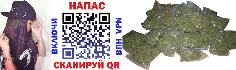 Марихуана гибрид  Купить закладки  Алупка 
